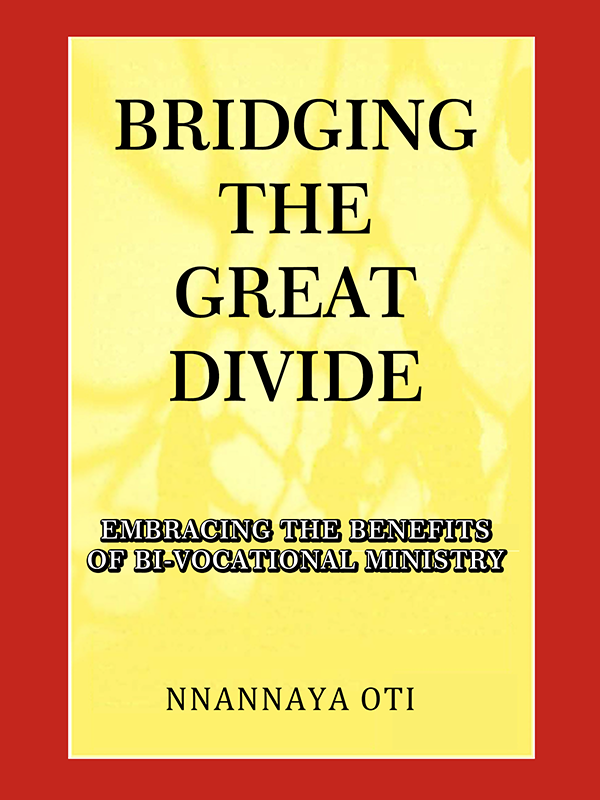 cover of bridging the great divide