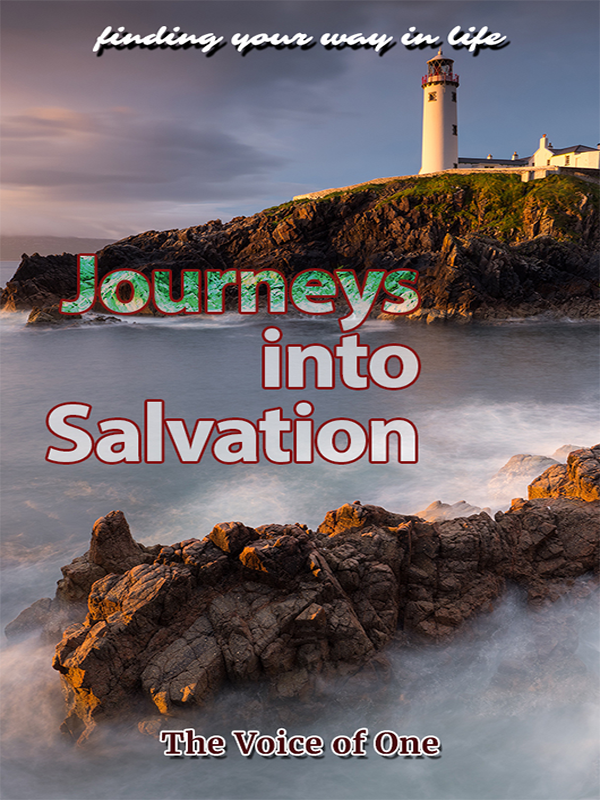 cover of journeys into salvation