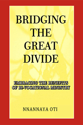 Cover of Bridging the Great Divide