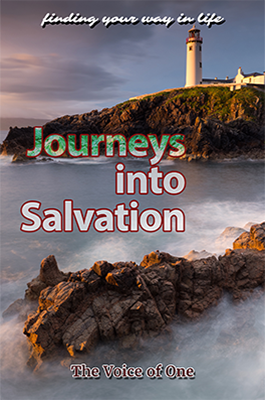 Cover of Journeys into Salvation